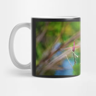 Dragonfly on a Stick 4 Mug